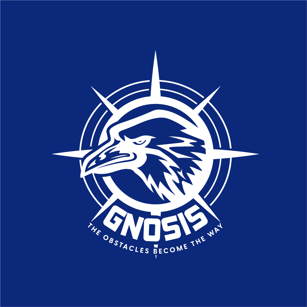 Premium logo mockup on fabric